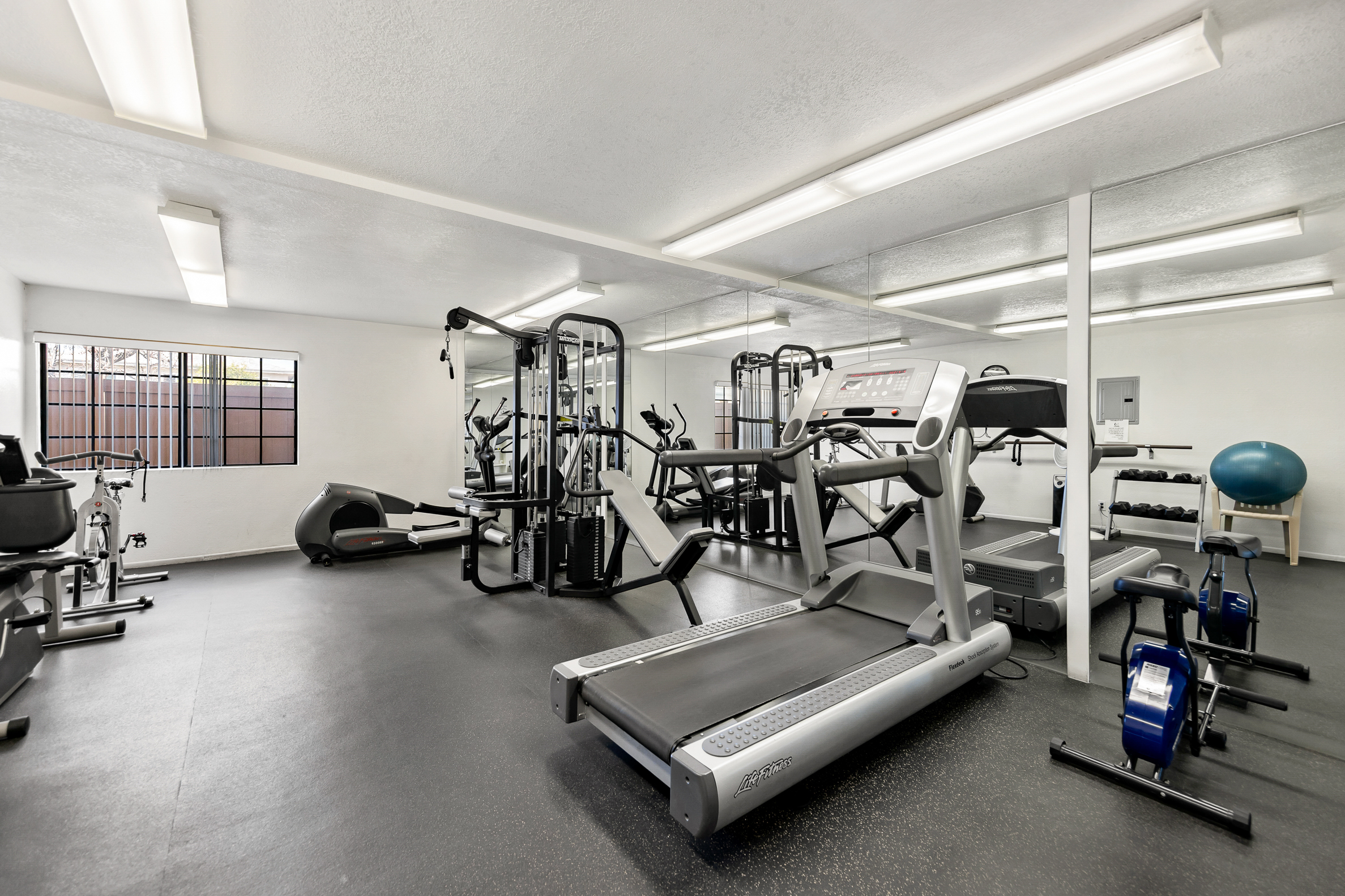 Common area fitness room